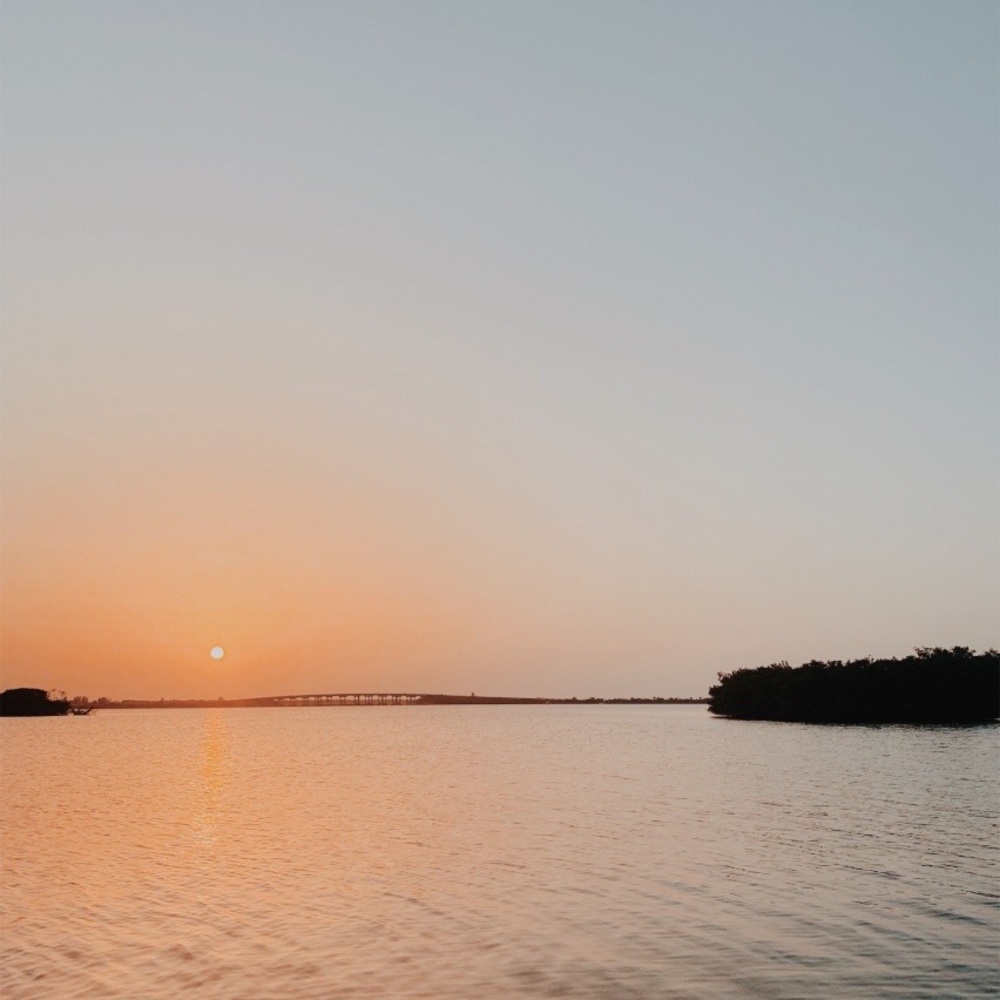 Meet your Posher, Avery